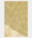Yellow Kora Organza Embroidery Saree T2809211