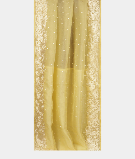 Yellow Kora Organza Embroidery Saree T2809212