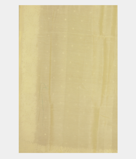 Yellow Kora Organza Embroidery Saree T2809213