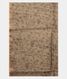 Greenish Grey Tussar Printed Saree T2839893