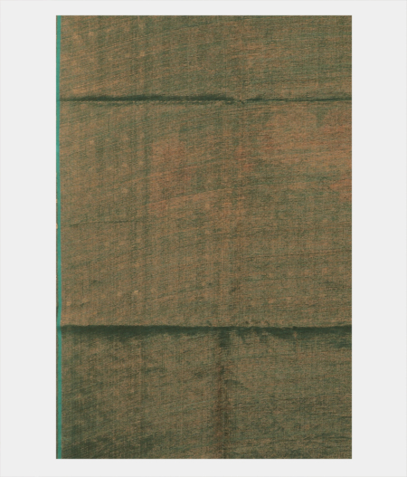 Green Tussar Printed Saree T2838183