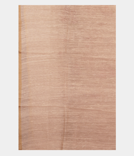 Light Pink Tissue Organza Printed Saree T2831913