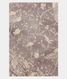 Grey Kora Organza Embroidery Saree T2840361