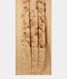 beige-tussar-embroidery-saree-t283271-t283271-b
