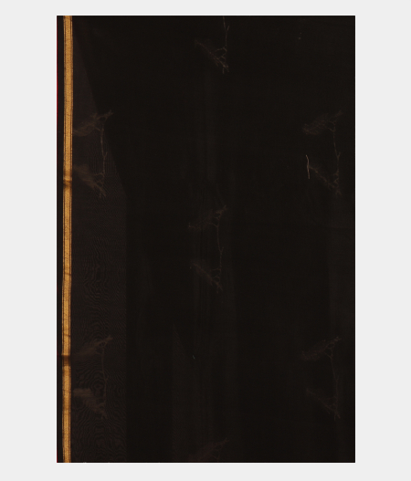 Black Soft Printed Cotton Saree T2598904