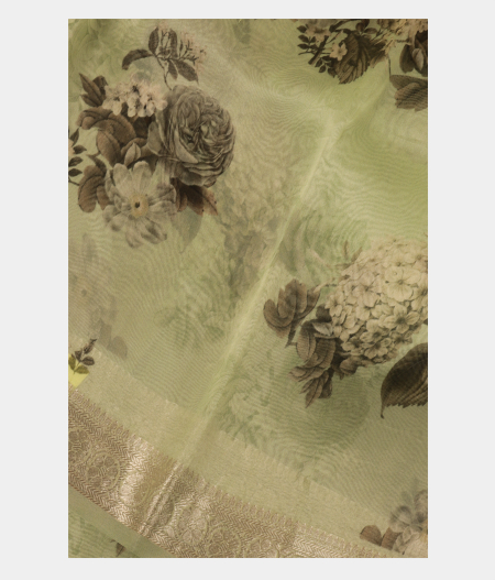 Green Kora Organza Printed Saree T268668-image