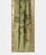 Green  Kora Organza Printed Saree  T2686682