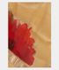 Beige Kora Organza Printed Saree  T2816481