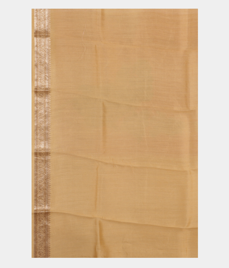 Beige Kora Organza Printed Saree  T2816483