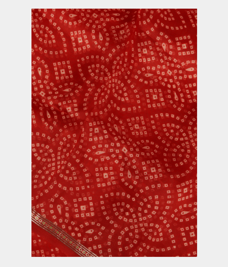 Red Kora Organza Printed Saree T268498-image