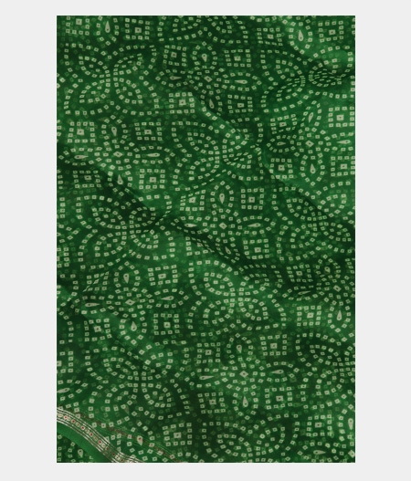 Green Kora Organza Printed Saree T268494-image
