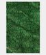 Green Kora Organza Printed Saree T2684941