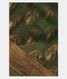 Green Mysore Silk Saree T2192221