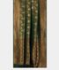 Green Mysore Silk Saree T2192222