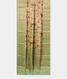 Light Green Chaniya Silk Saree T2845122