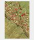 green-linen-embroidery-saree-t285328-t285328-a