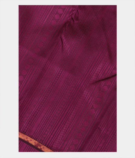 Purple Handwoven Kanjivaram Silk Saree T2855305