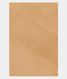 Beige Handwoven Kanjivaram Silk Saree T2605455