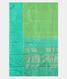 Green Handwoven Kanjivaram Silk Saree T2855144