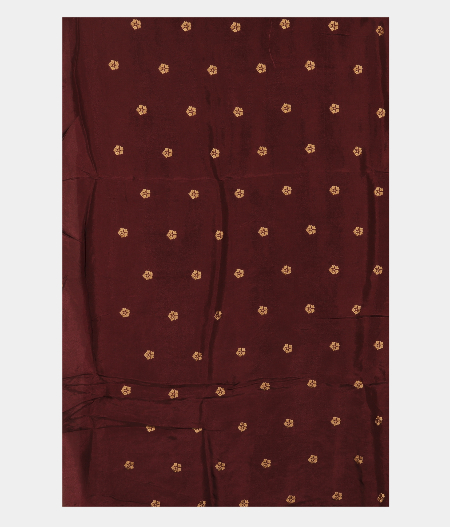 Deep Brown  Kora Organza Embroidery Saree T2727683