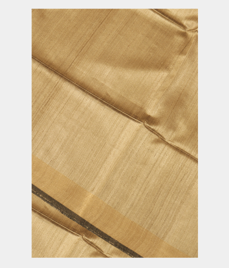 Beige Tussar Printed Saree T289806-image