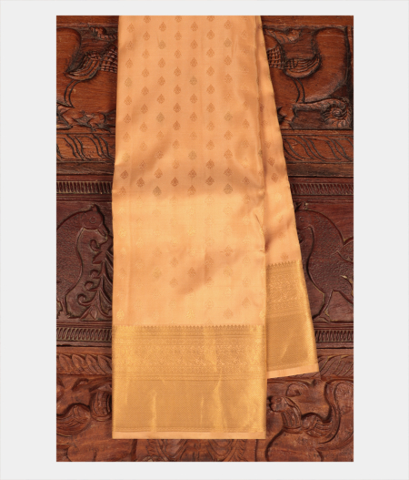 Beige Soft Silk Saree T188050-image