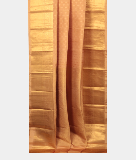 Beige Soft Silk Saree T1880502