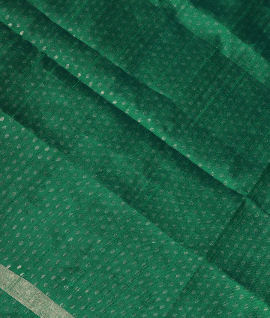 Green Woven Raw Silk Saree T282390-image