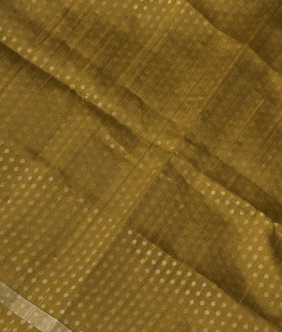 Mehndi Green Woven Raw Silk Saree T282394-image