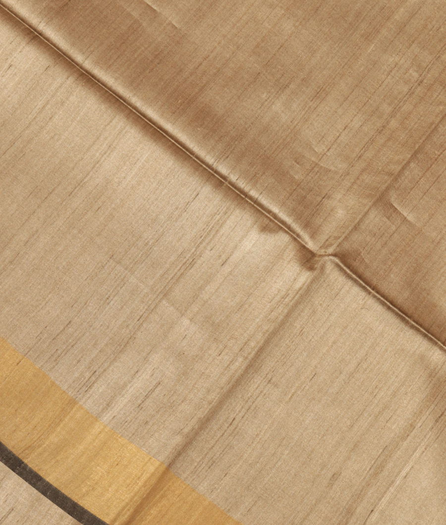 Beige Tussar Printed Saree T289890-image