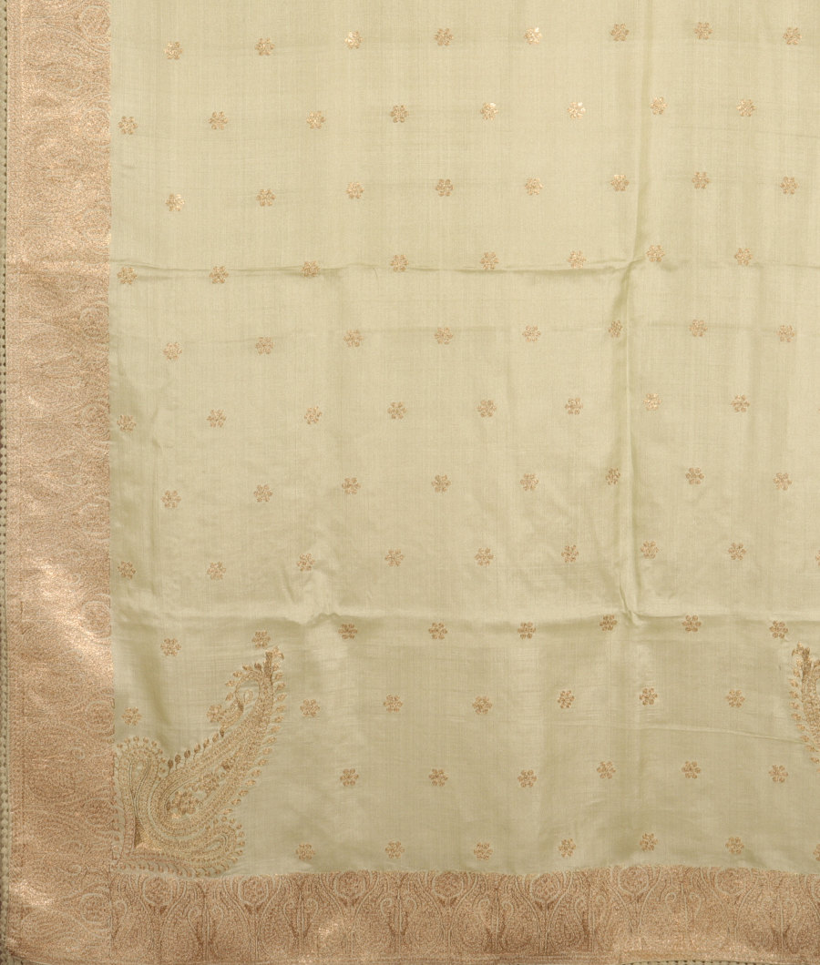 light-green-tussar-embroidery-saree-t301600-t301600-e