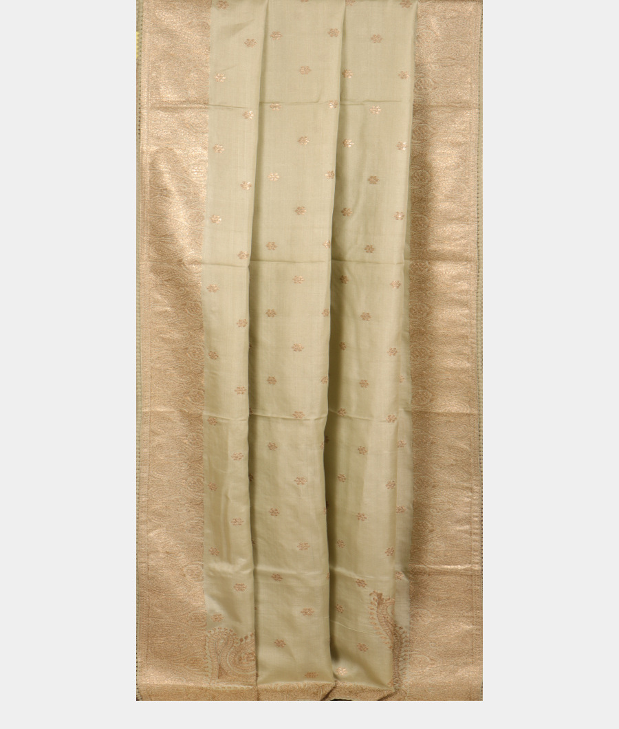 light-green-tussar-embroidery-saree-t301600-t301600-f