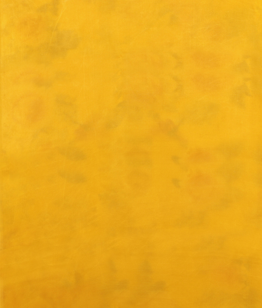 yellow-satin-crepe-silk-saree-t293103-t293103-c