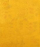 Yellow Satin Crepe Silk Saree T2931033