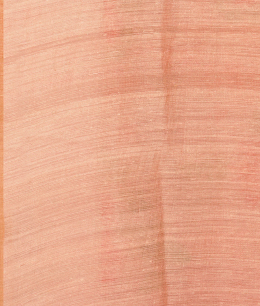 Peach Tissue Organza Printed Saree T2831943