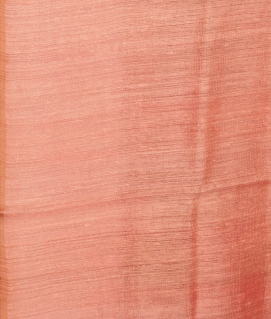 Peach Tissue Organza Printed Saree T2831903