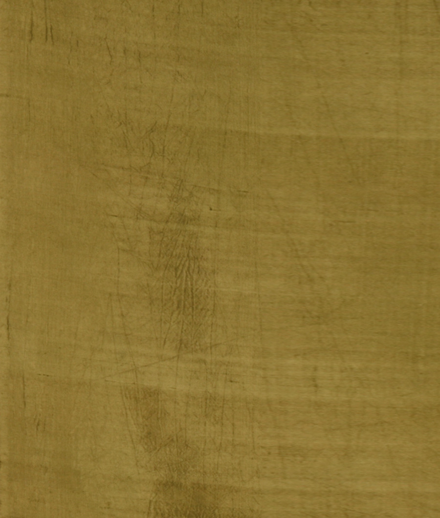 Beige Printed Silk Saree T2894313