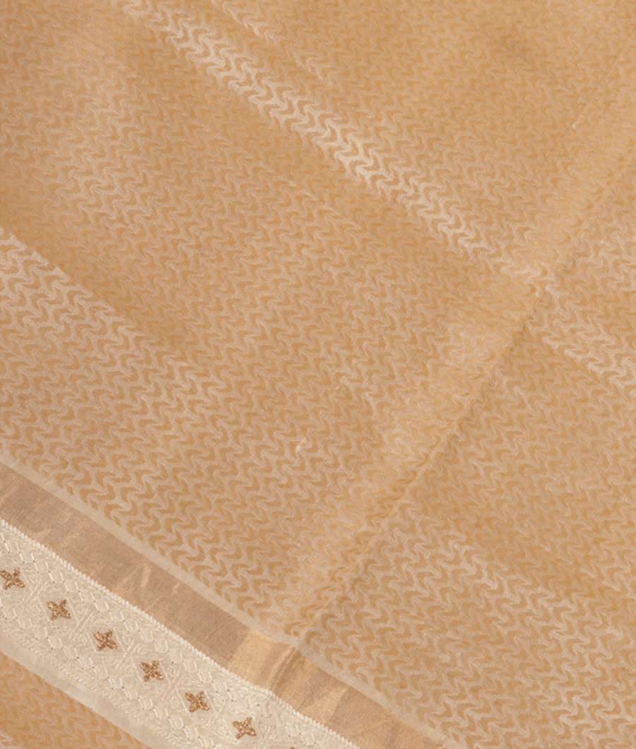 Beige Handwoven Tussar Saree T281938-image