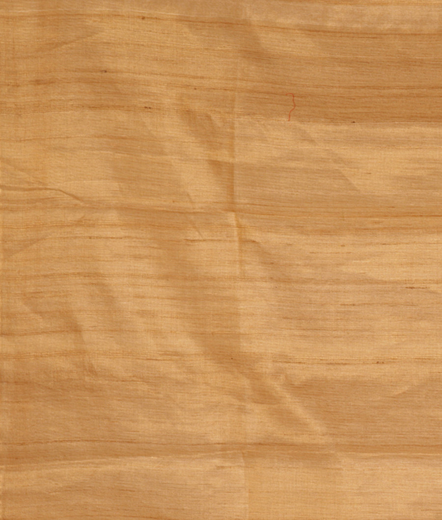 Beige Handwoven Tussar Saree T2819384