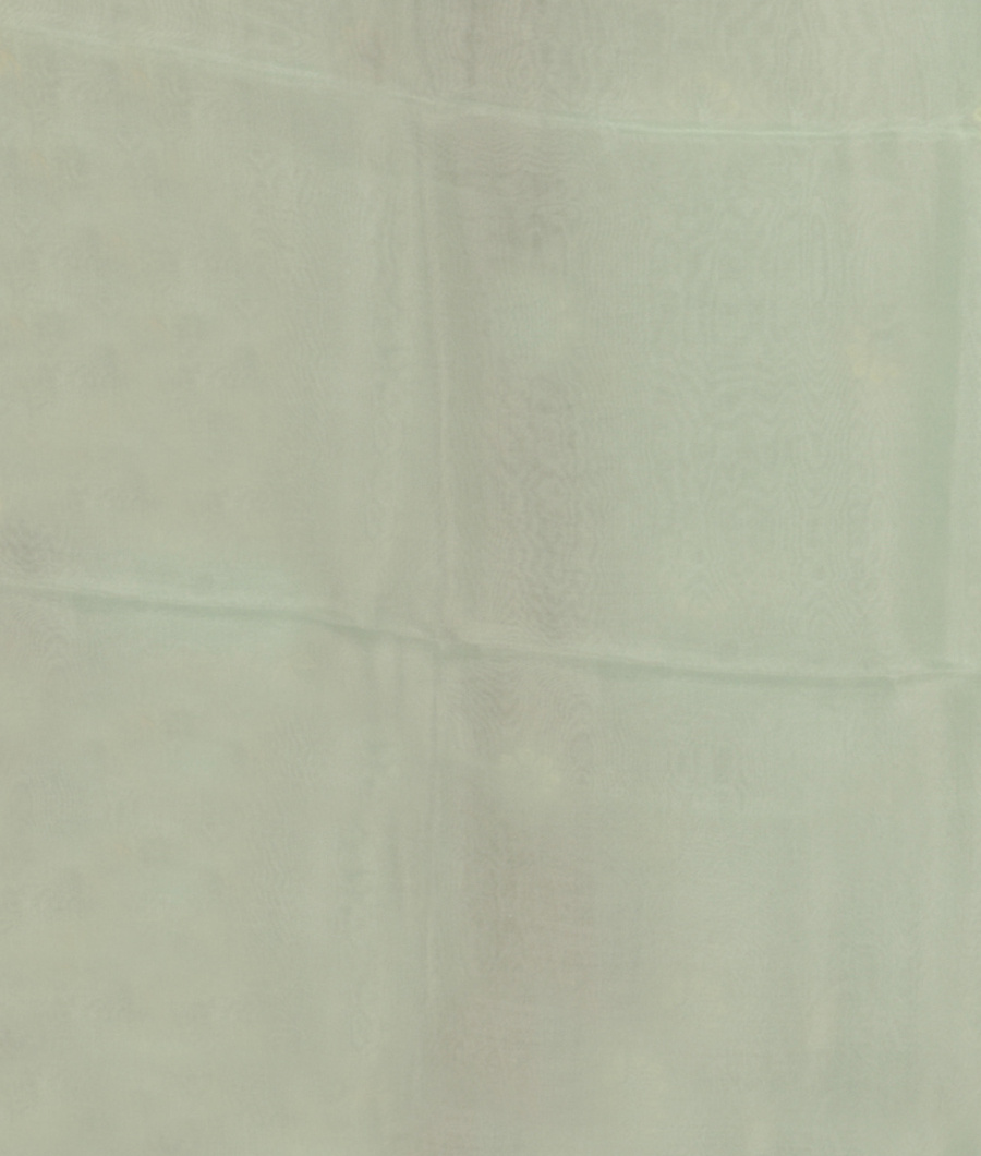 Blue Kora Organza Embroidery Saree T2598253