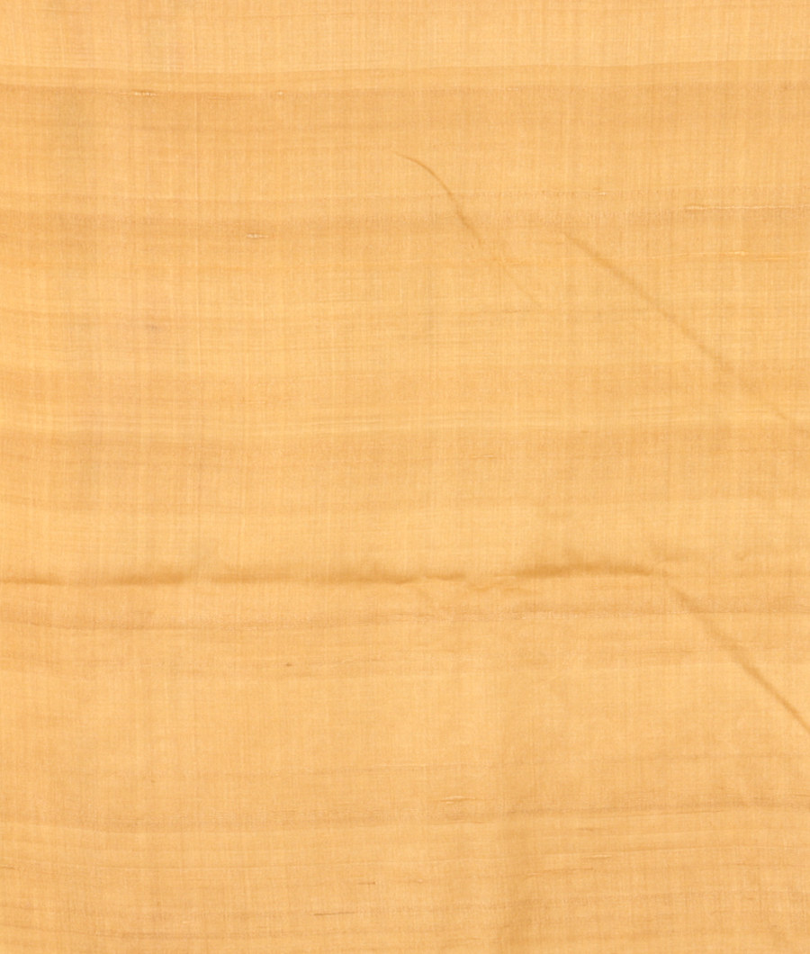 beige-tussar-embroidery-saree-t290400-t290400-c