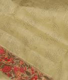 Light Green Kora Organza Embroidery Saree T2826781