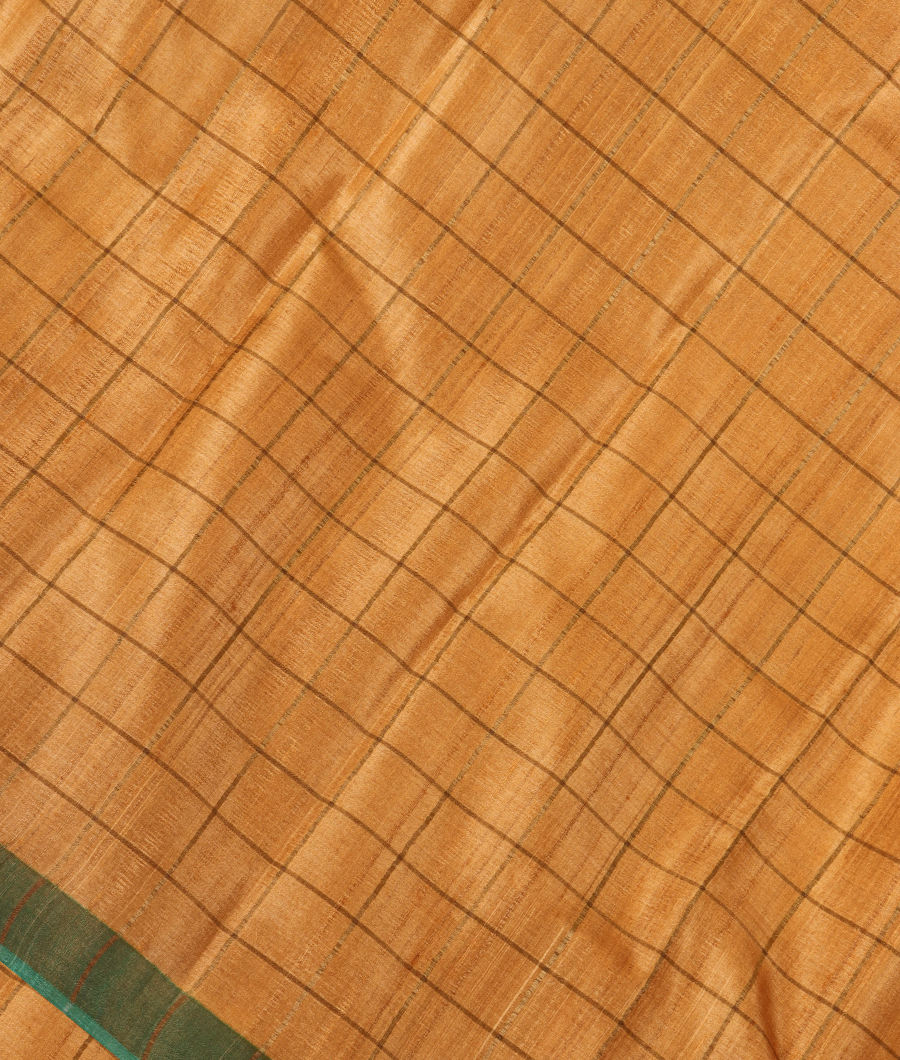 Beige woven Tussar Saree T302157-image