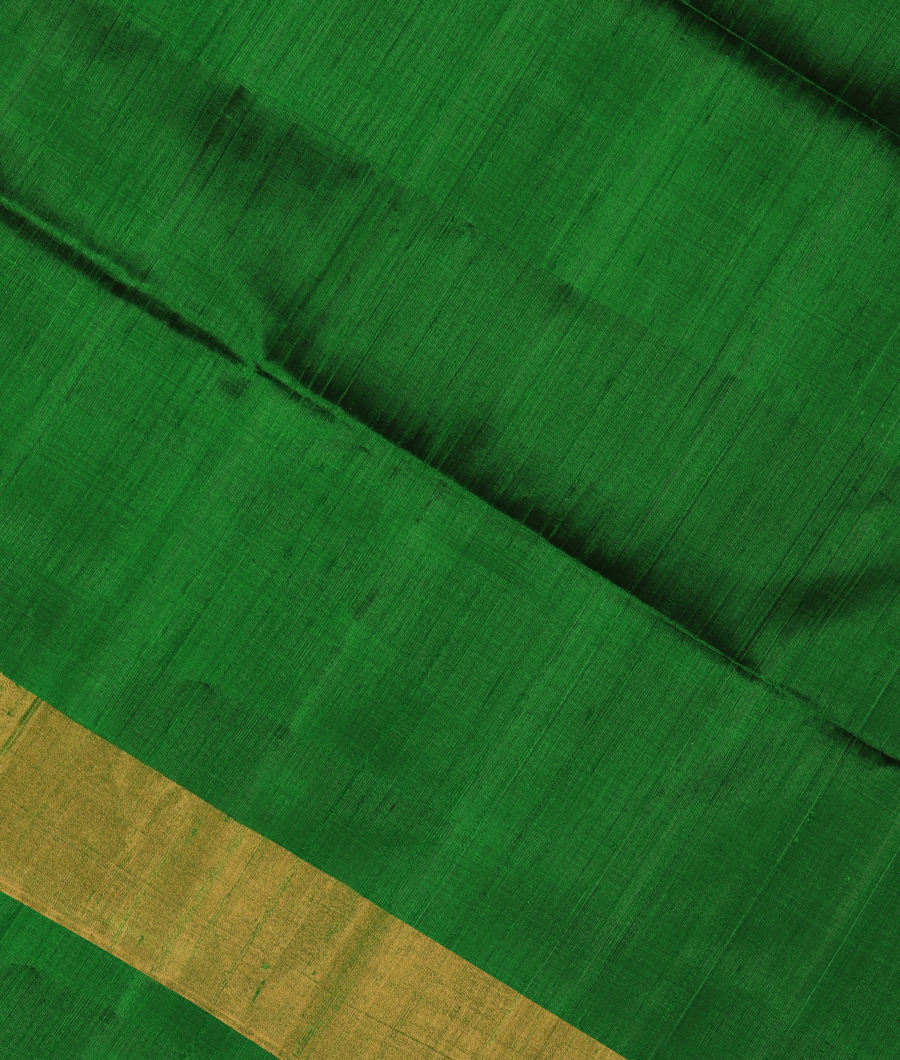 Green Woven Raw Silk Saree T308564-image