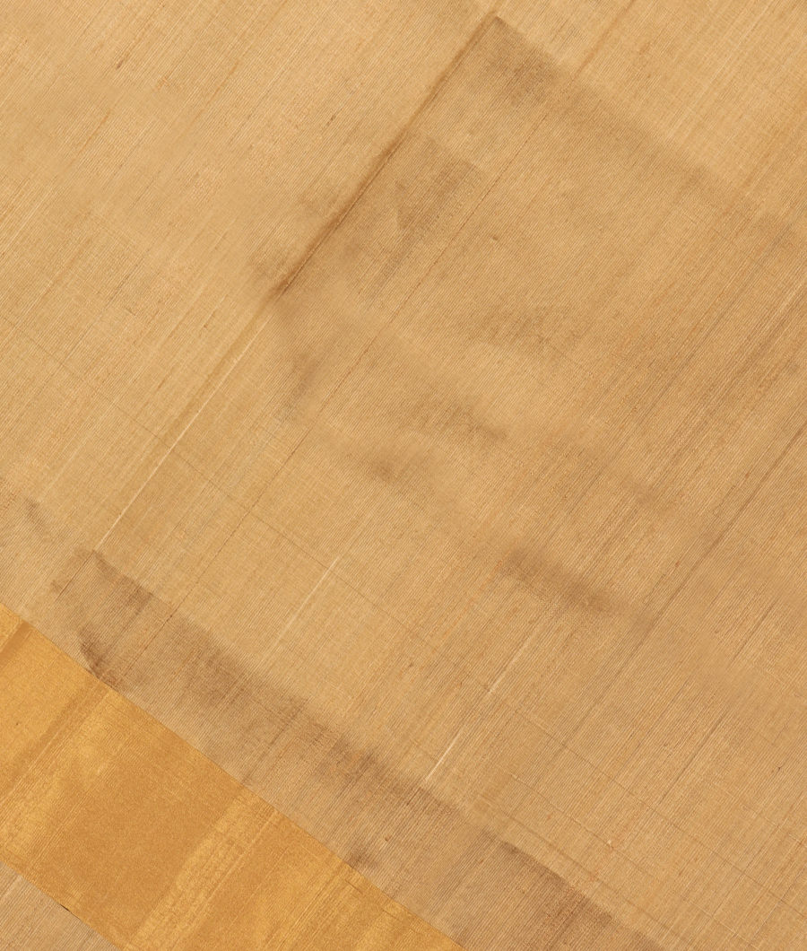Beige Woven Raw Silk Saree T308561-image