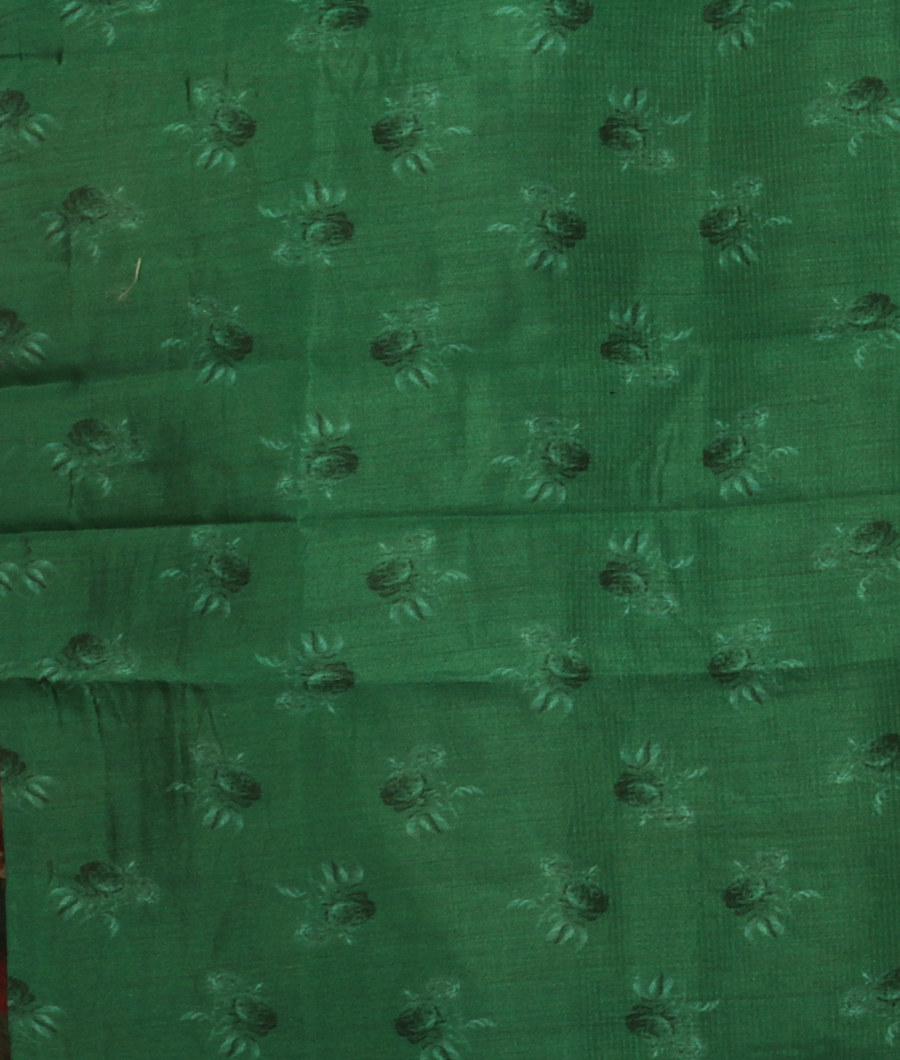Green Kora Organza Printed Saree T3085743