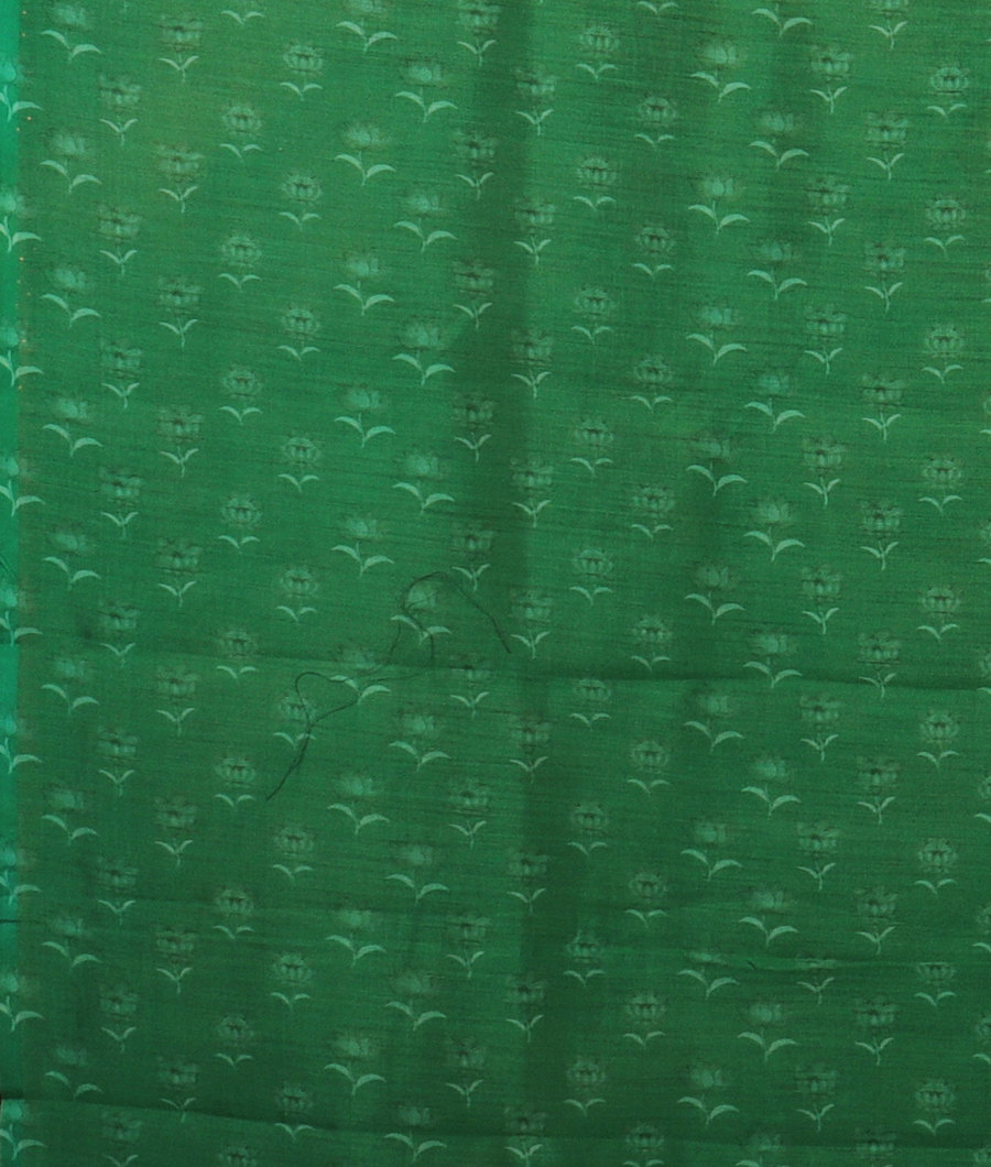 Green Kora Organza Printed Saree T2999893