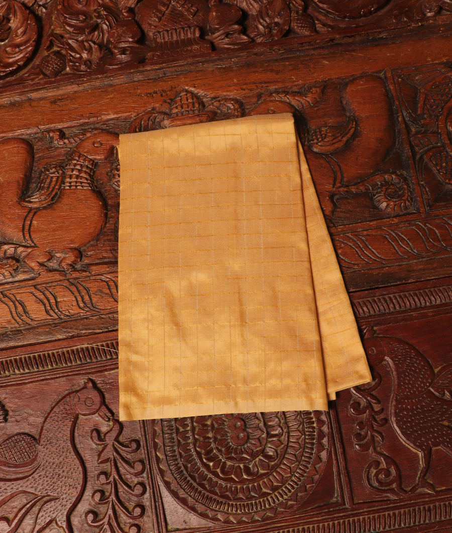 Beige Handwoven Kanjivaram Silk Blouse T22128-image