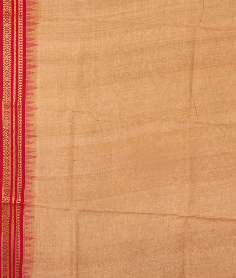 Beige Vidarbha Tussar Saree T3095323
