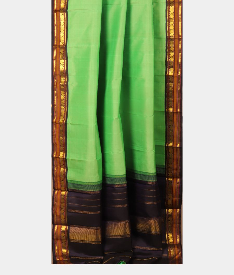 Green Handwoven Kanjivaram Silk Saree T3041252